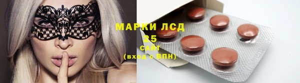 ECSTASY Ладушкин