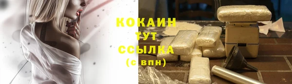 2c-b Лагань
