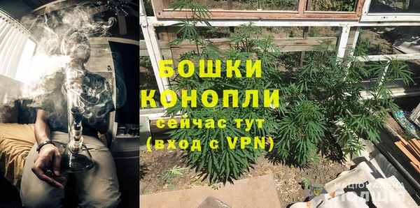 ECSTASY Ладушкин