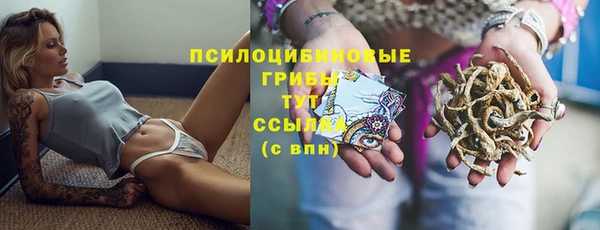 2c-b Лагань