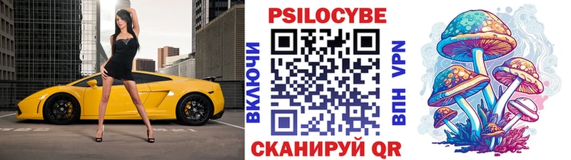 Псилоцибиновые грибы Cubensis  купить   Северодвинск 