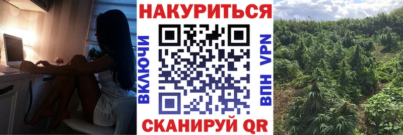 Марихуана семена  купить  сайты  Северодвинск 